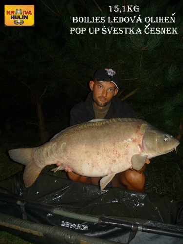 15,1kg, boilies ledová oliheň, pop up švestka/česnek