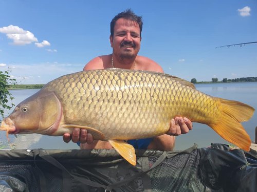 Boilies Frankfurtská klobása