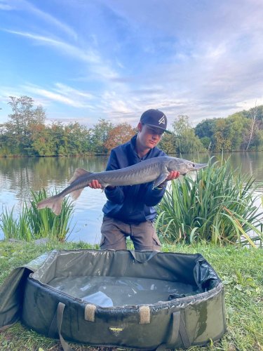 Peleta Black halibut krev + booster Calypso