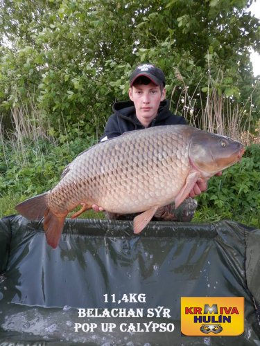 11,4kg, boilies Belachan/Sýr, pop up Calypso, svazová voda
