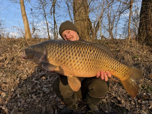 15+, Boilies Pikantní krill, pop up Bílý pepř