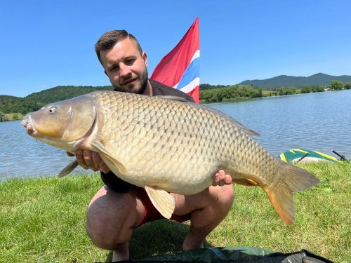 Boilies Calypso