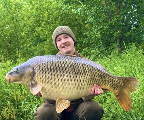 Boilies Krill a oliheň