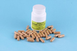 SILYMARÍN + LECITÍN - kapsula 730 mg