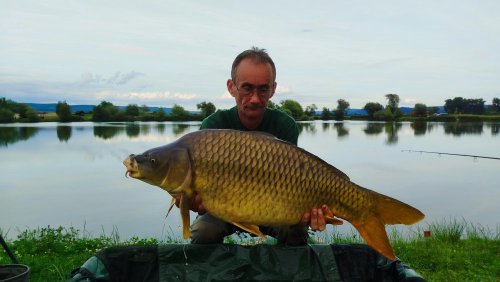 Boilies Pikantní krill