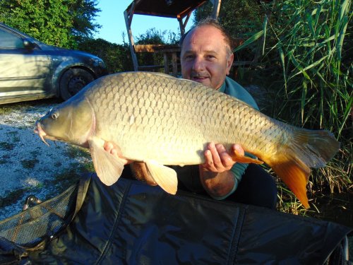 Sumčí boilies