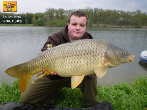 82cm, 10,4kg, boilies Játra