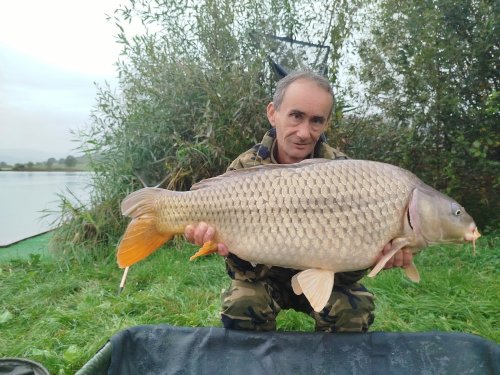 Boilies Mefisto