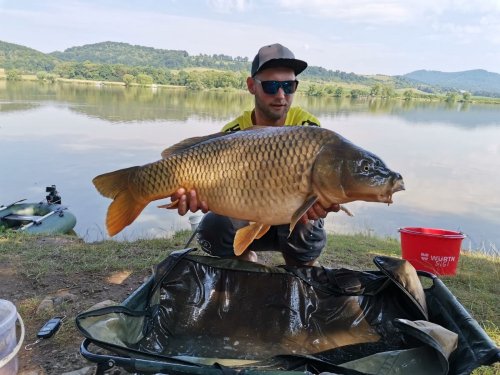 Boilies Krill/Oliheň