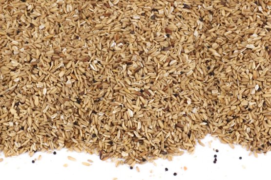 OVES NAHÝ - drobnější zrno - pro ptactvo - Vyberte balení: 2,5 kg