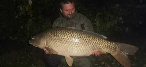 Boilies Krill/Oliheň