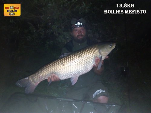 13,8kg, boilies Mefisto