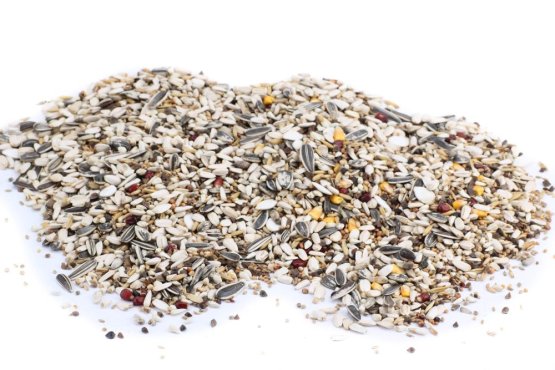 Krmivo Avest - PRO VELKÉ PAPOUŠKY 17 (Avest, KVP17-1) | Krmiva Hulín Krmivo Avest - PRO VELKÉ PAPOUŠKY 17 (Avest, KVP17-1) | Krmiva Hulín