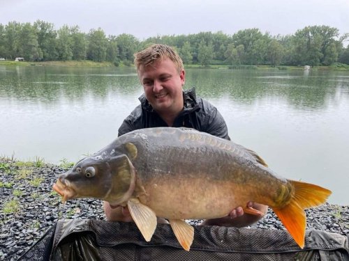 Boilies Pikantní krill