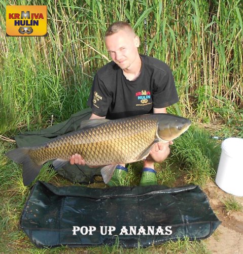Pop up Ananas, svazová voda