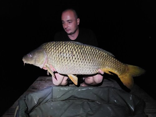 Boilies Pikantní jahoda
