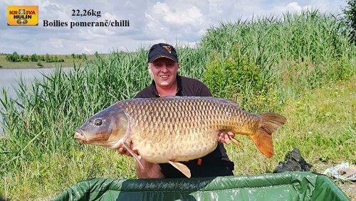 22,26kg, boilies pomeranč a chilli