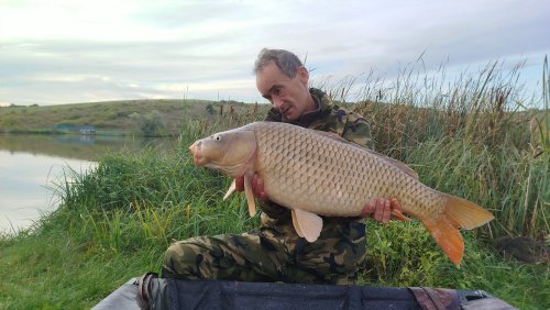 Boilies Pikantní perník Boilies Pikantní perník