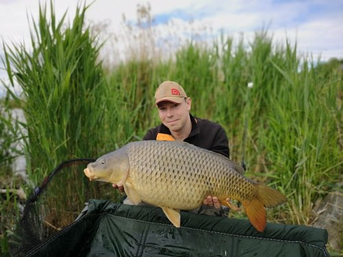 14kg, Boilies Pikantní krill