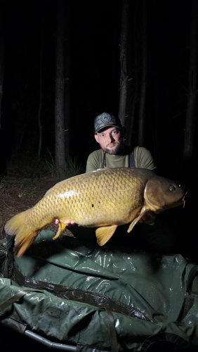 16,6kg, boilies Pikantní perník