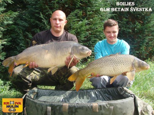 Boilies GLM betain se Švestkou