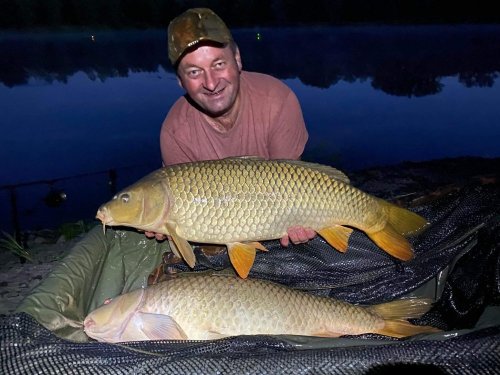 Boilies Pikantní krill
