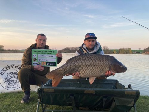 Boilies Calypso