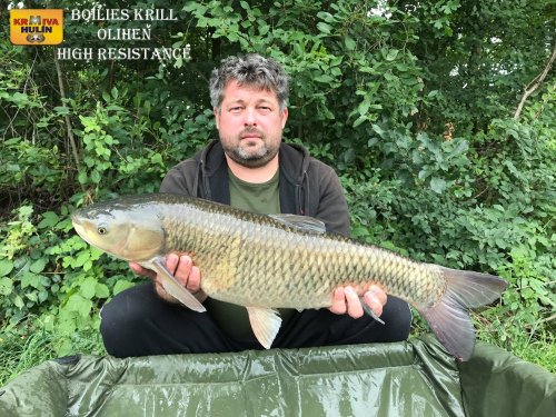 Boilies krill a oliheň high resistance, svazová voda