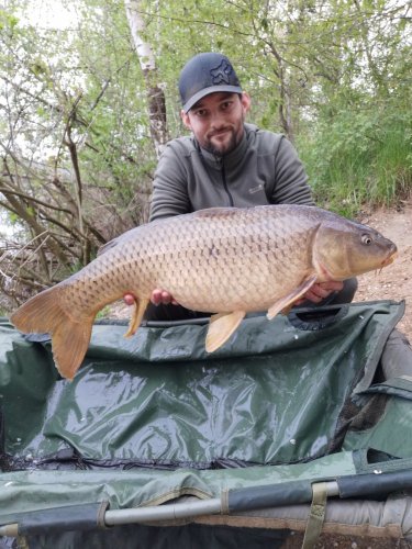 10,3kg, boilies Pikantní krill