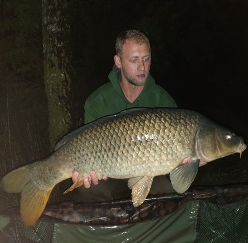 Boilies Krill/Oliheň, pop up Banán/Meruňka