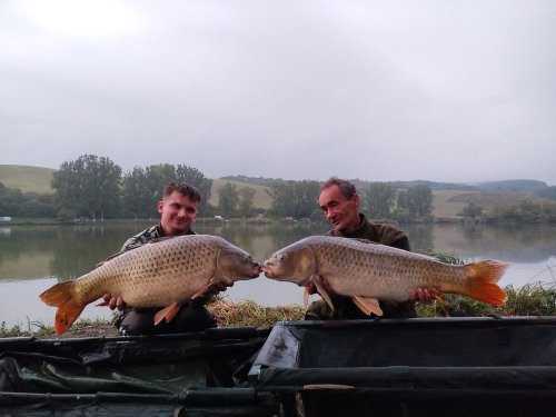 Boilies Pikantní krill