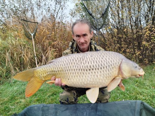 Boilies Švestka s česnekem