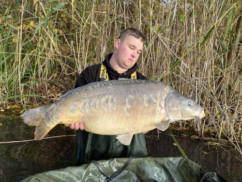 Boilies Pomeranč a chilli
