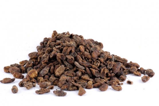 Sušený hmyz - Kukly Bourec morušový - pre Exoty - Vyberte balení: 150 g / 500 ml