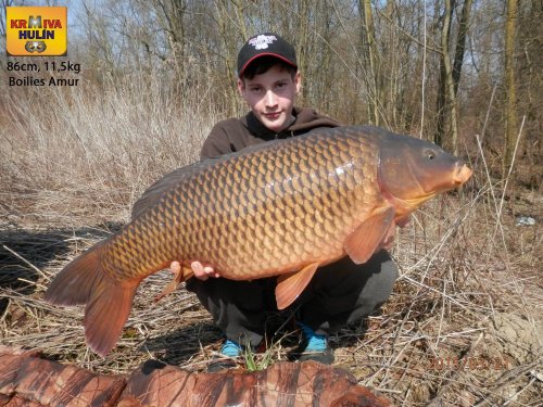 86cm, 11,5kg, boilies Amur, svazová voda