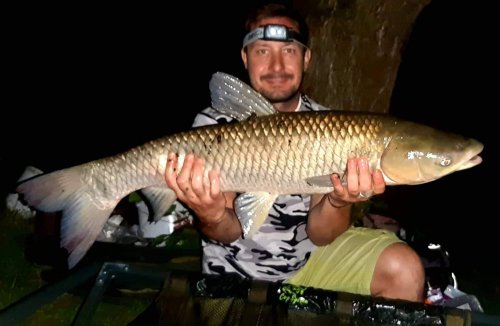 Boilies v dipu Pikantní jahoda