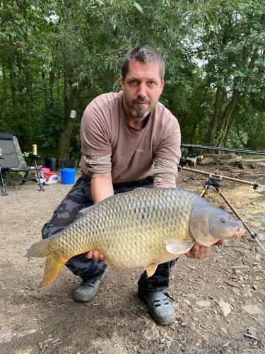 Boilies Krill a oliheň