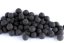 Plovoucí boilies - BLACK HALIBUT - Ø 12 mm - Vyberte balení: 30 g