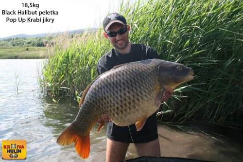 18,5kg, peleta Black halibut krev, pop up Krab