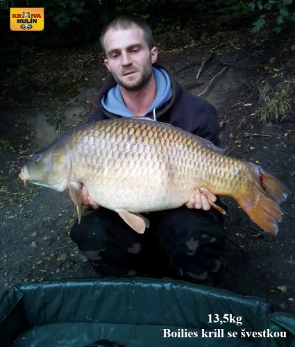 13,5kg, boilies krill se švestkou