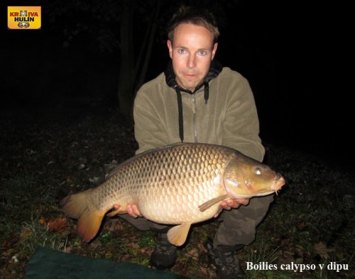 Boilies calypso v dipu