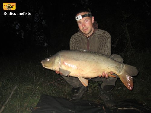 Boilies mefisto