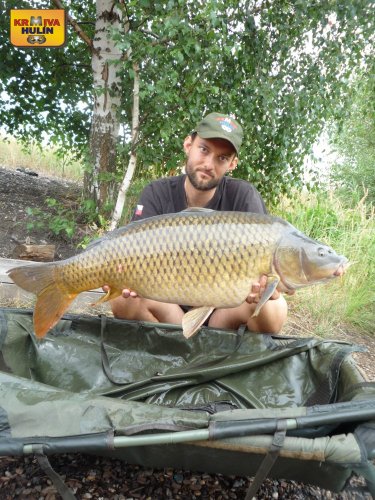 14,8kg, zig rig - pop up ananas