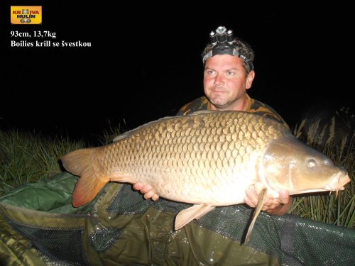93cm, 13,7kg, boilies krill se švestkou vlastní výroby