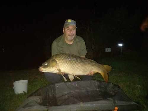 Boilies Pikantní krill