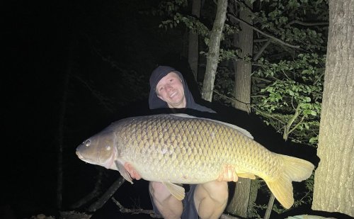 Boilies Mléčná kukuřice + Pop up Banán/Meruňka