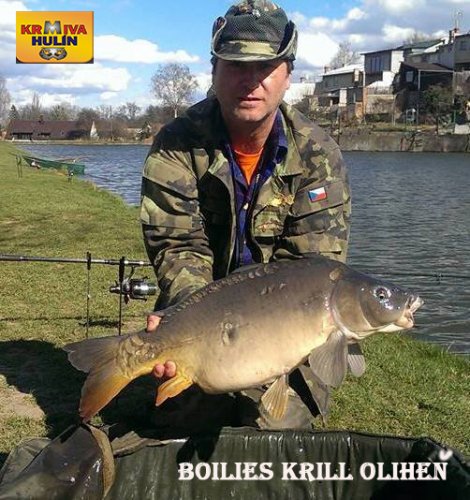 Boilies Krill/Oliheň