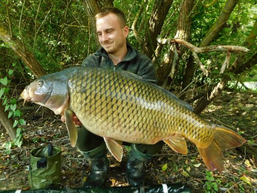 Boilies Krill/Oliheň