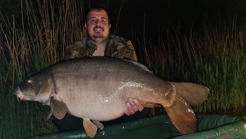 20+, Boilies Pikantní jahoda