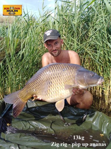 13kg, zig rig - pop up ananas